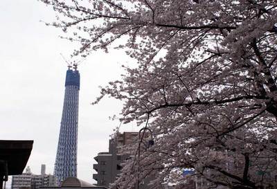 040410sukai700_0.jpg