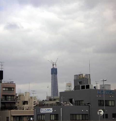 100312sukai500.jpg